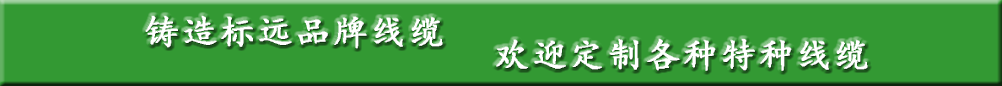 機(jī)電自動(dòng)化設(shè)備控制線(xiàn)纜—東莞市標(biāo)遠(yuǎn)線(xiàn)纜有限公司