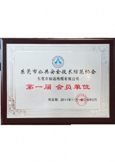 東莞市公共安全技術(shù)防范協(xié)會(huì)會(huì)員單位