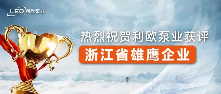 新年啟新程，喜迎開門紅 | 利歐榮獲浙江省雄鷹企業(yè)等多項(xiàng)榮譽(yù)表彰！